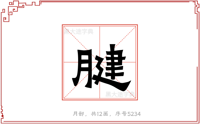 腱